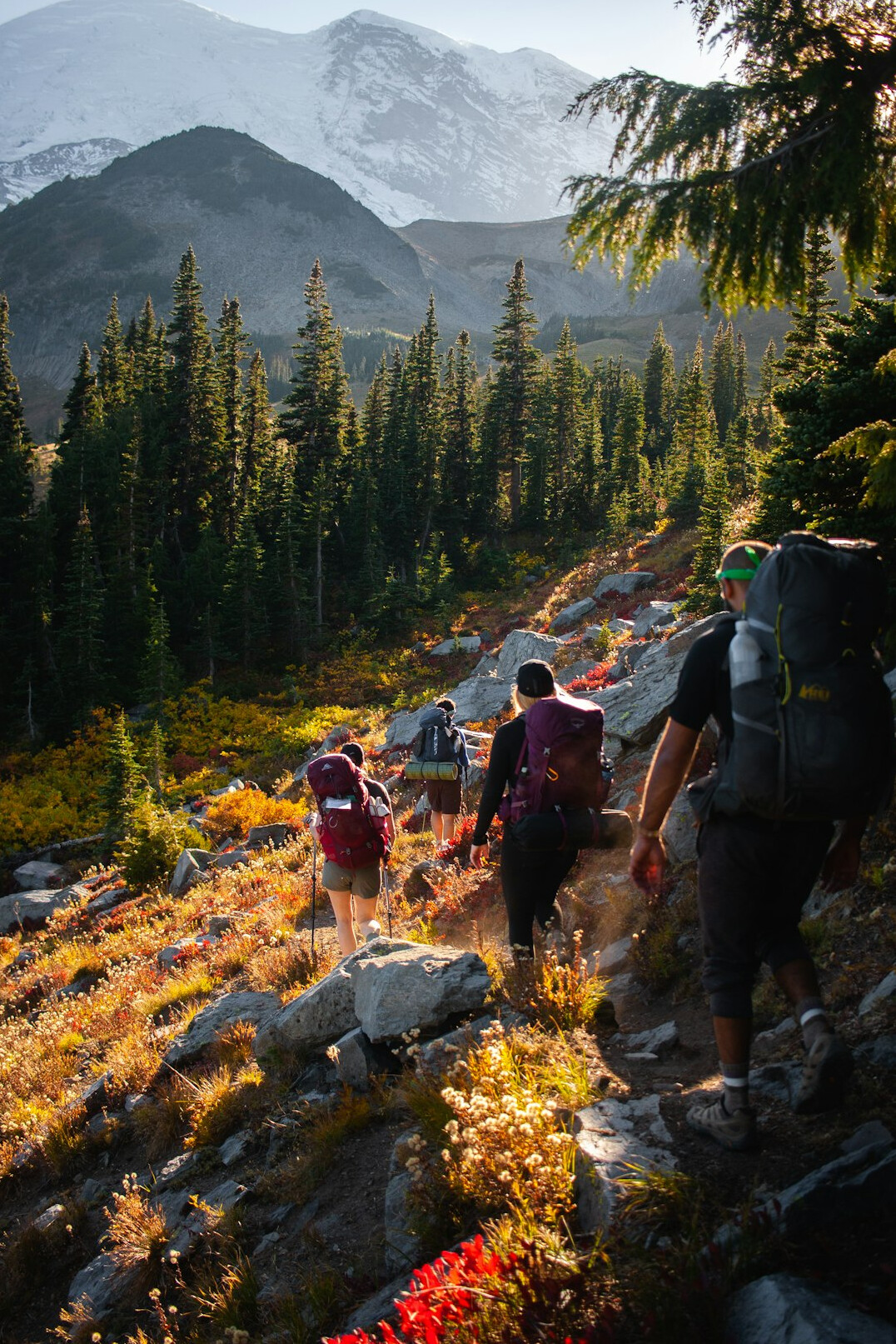 group of seniors hiking in nature